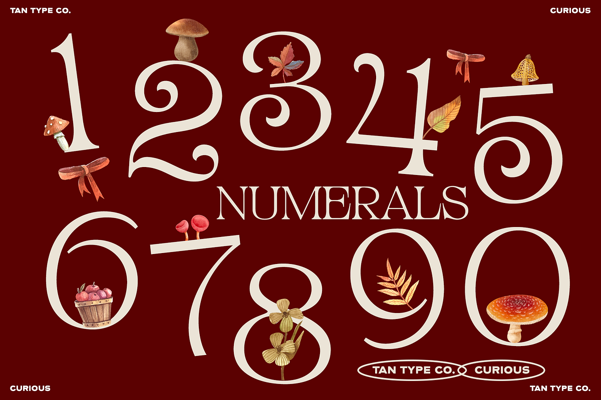 TAN - CURIOUS, a Serif Font by TanType (Photo 10 of 11)