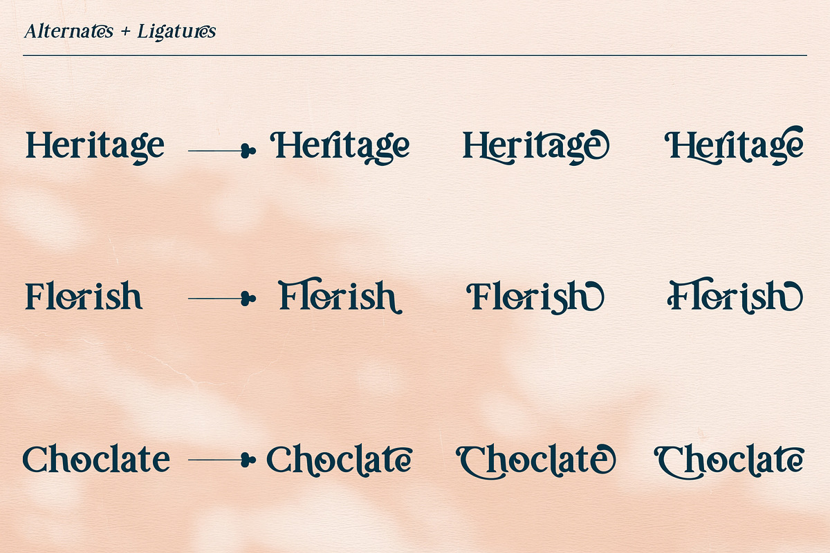 Prestissimo Classy (20% 0FF), a Script Font by Burntilldead (Photo 11 of 23)