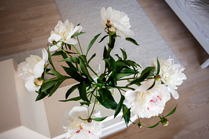 White Peony Flowers in a Glass Vase on a Bright Wooden Surface, a Photo by AS photostudio