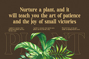 Maglor - Elegant Serif Font, a Serif Font by Graphicxell (Thumbnail 4 of 8)