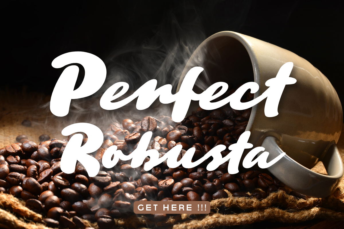 Signature Philosophy – Signature, a Script Font by Fikryal Studio (Photo 9 of 11)