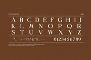 Naomi Modern Serif Font, a Serif Font by Perfectype (Thumbnail 8 of 8)