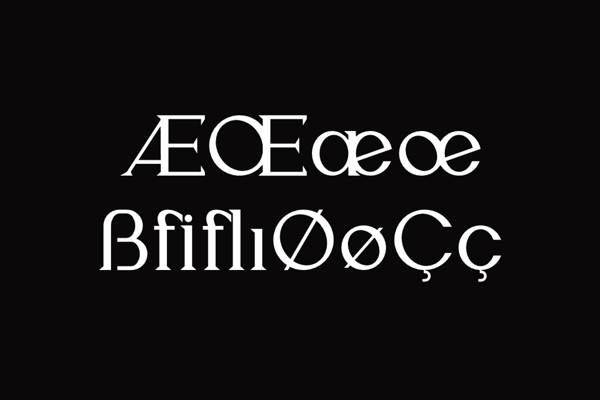 Wefalor - Modern Serif Font, a Script Font by QR Design Studio (Photo 8 of 12)