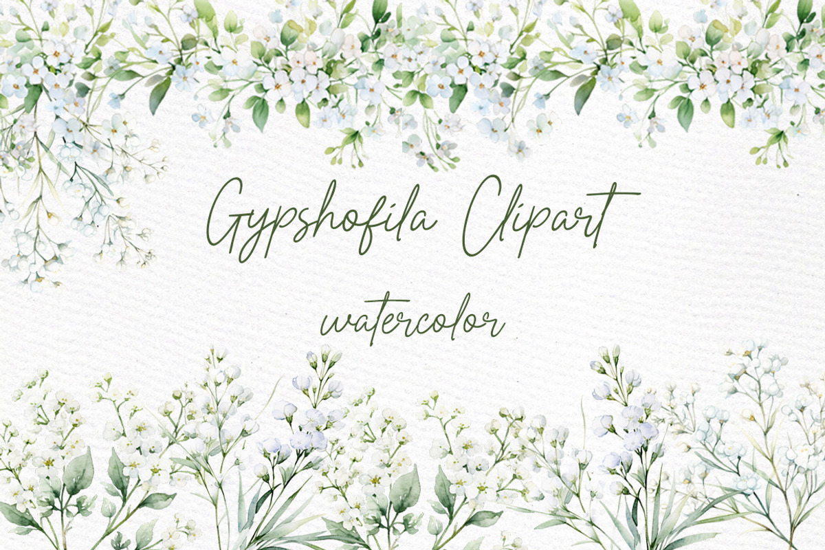 Gypsophilia Flowers Clipart, a Decorative Illustration by LeCoqDesign (Photo 1 of 5)