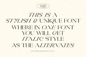 Stylish Delight - Modern Serif