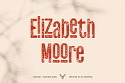 skyline - vintage ligature sans font, a Sans Serif Font by SilverStag Type Foundry (Thumbnail 4 of 16)
