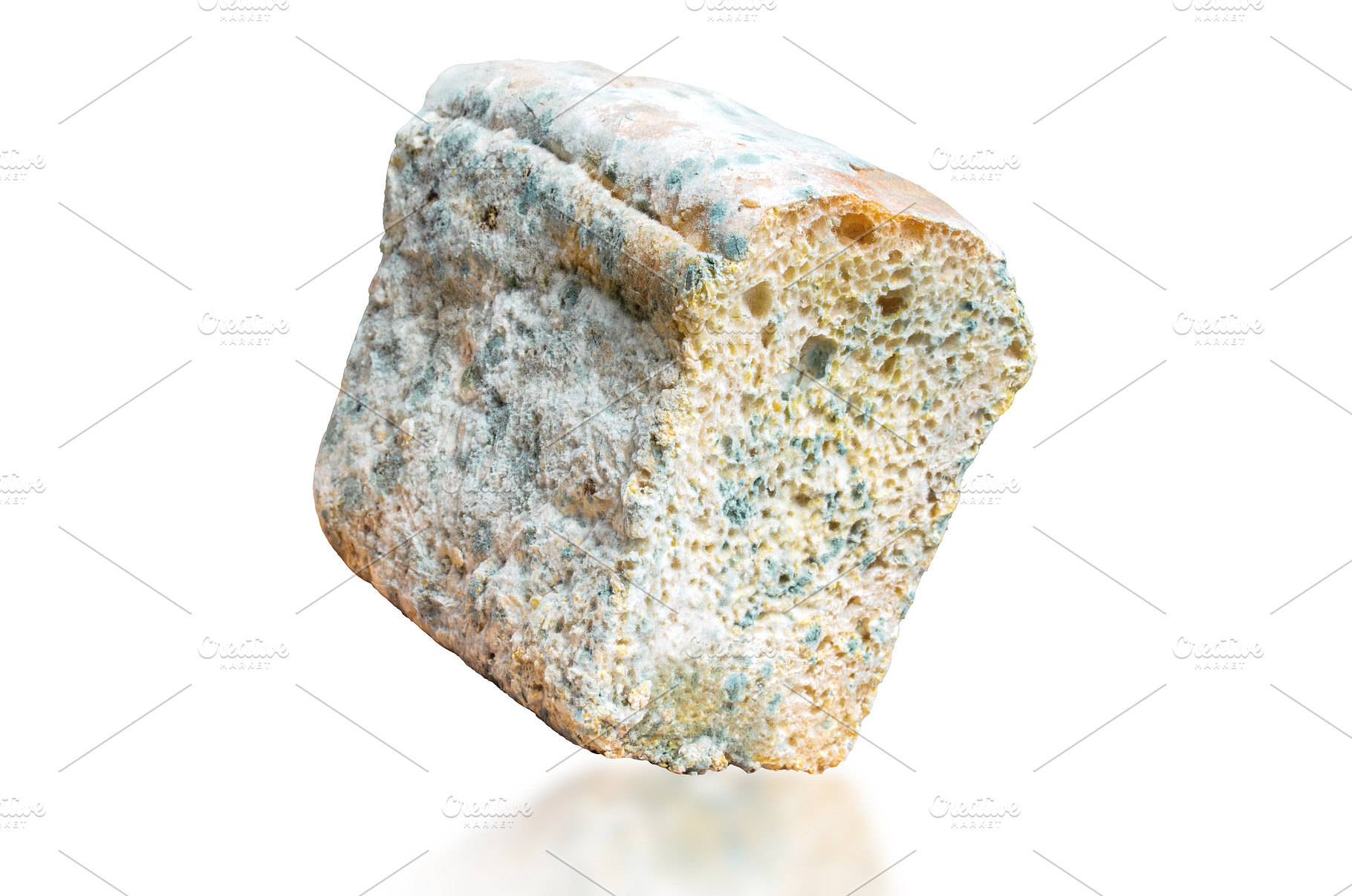 Spoiled Rotting Bread with Green, a Food & Drink Photo by Pakosta