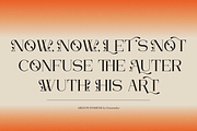 Arleon Domenk Display Elegant Serif, a Serif Font by Denustudios (Thumbnail 3 of 15)