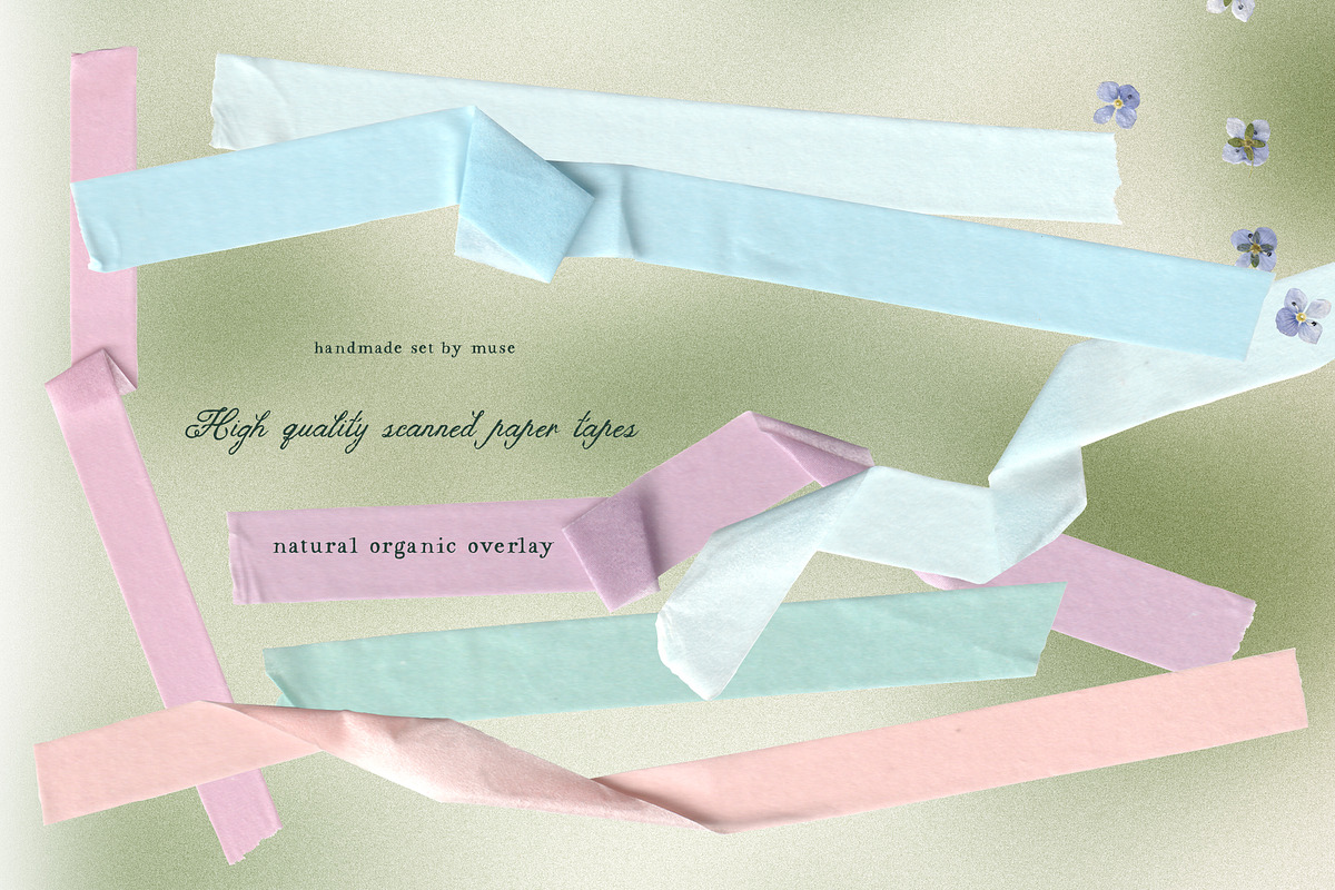 The Garden Treasures Floral Overlays, an Object Graphic by Muse Artist (Photo 10 of 14)