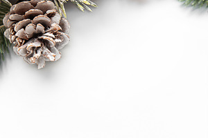 Christmas winter holiday border with frosted pine cones and berr, a Holiday Photo by Olena Rudo