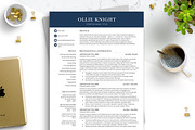 Modern Simple CV Template for Word, a Resume Template by BestResumes.Co (Thumbnail 1 of 7)