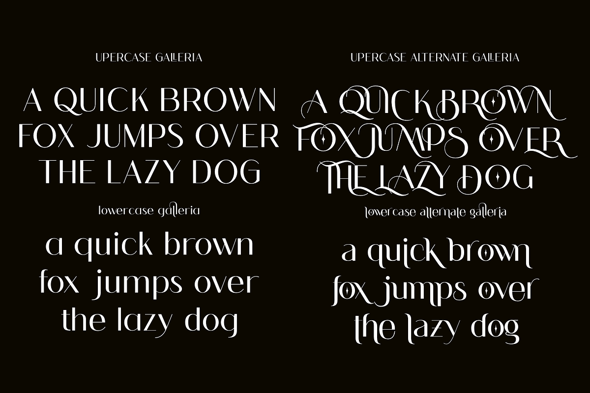 Galleria-An Unique Variable sans, a Sans Serif Font by zamjumps (Photo 8 of 10)