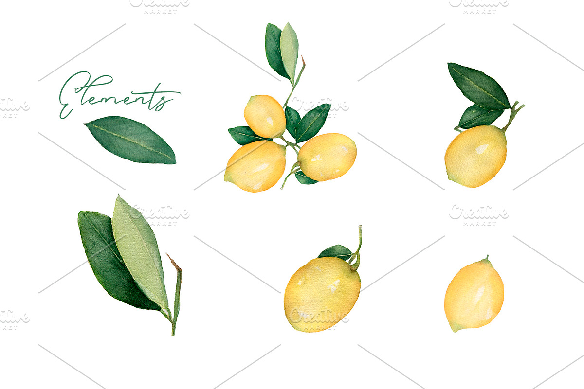 Watercolor Citrus Fruit Lemon, a Food Illustration by MayaNavits (Photo 2 of 11)