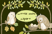 Little Owls Clipart, a Decorative Illustration by Paper Doll Pets (Thumbnail 1 of 6)