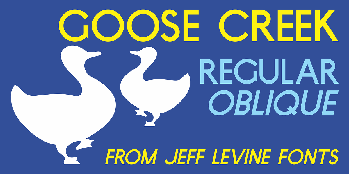 Goose Creek JNL, a Sans Serif Font by Jeff Levine Fonts (Photo 1 of 5)
