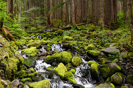 Running Water, a Nature Photo by erin.mohr