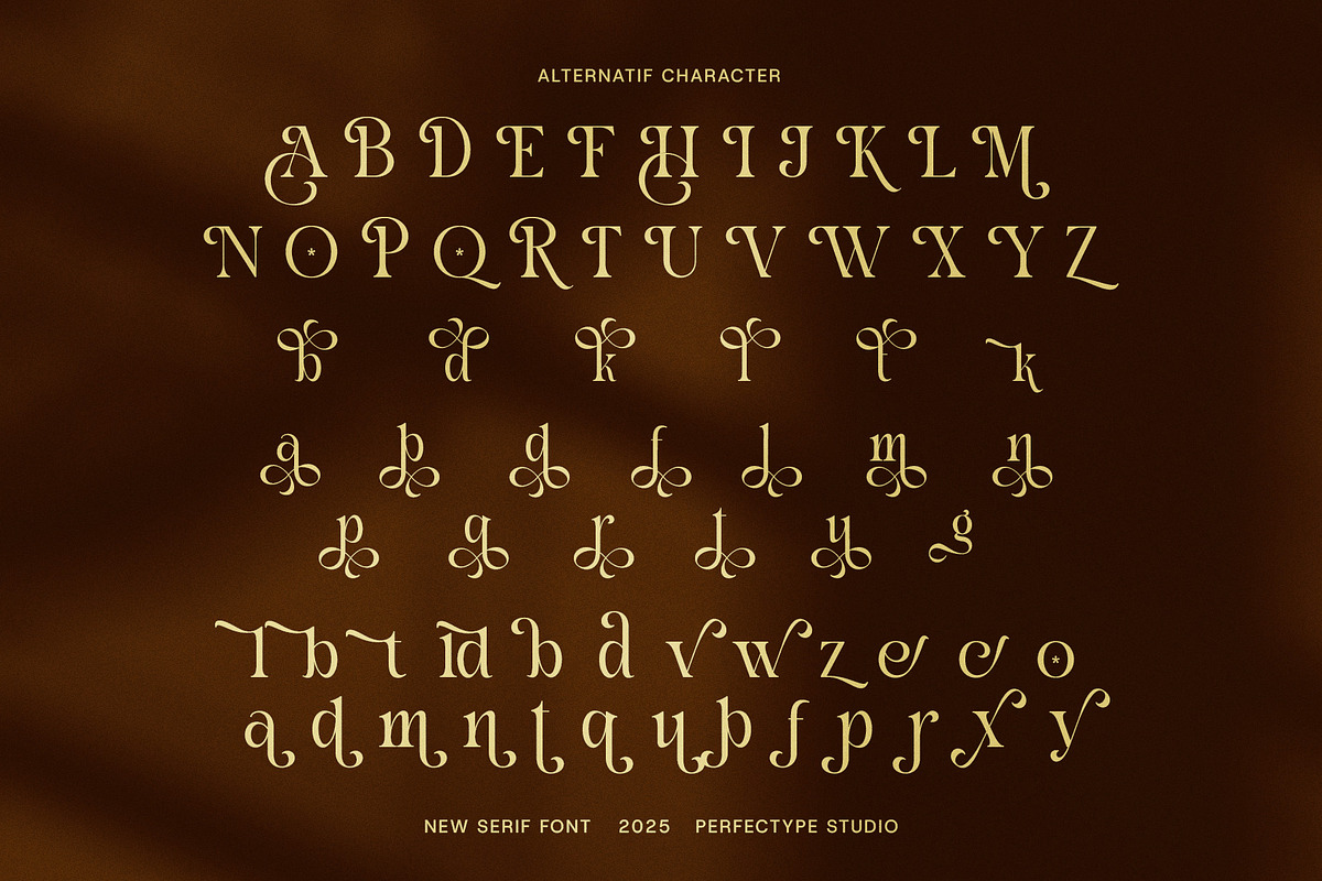 Bold Hiden Calligraphy Serif Font, a Serif Font by Perfectype (Photo 6 of 7)