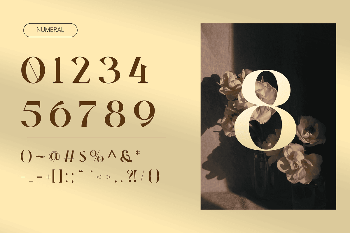 Lavero - Modern Ligatures Font, a Serif Font by Nirmana Visual (Photo 4 of 8)