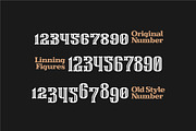 WallAxe Fonts Condensed, a Slab Serif Font by Nocturnal Workspace (Thumbnail 9 of 17)