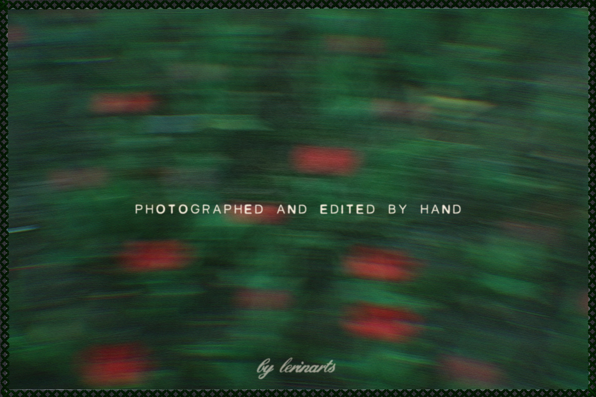 Impressionist Garden Floral Textures, a Background Graphic by lerinartstudio (Photo 5 of 9)