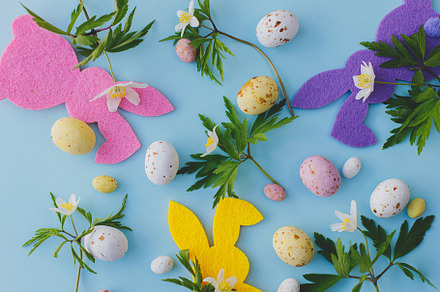 Happy Easter!, a Holiday Photo by Sonjachni