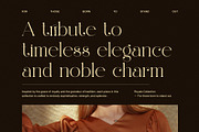 Qaliyan Elegant Serif Font, a Serif Font by Elegant Font (Thumbnail 7 of 8)