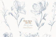 Baroque collection-Toile De Jouy, a Decorative Illustration by Pamyatka Shop (Thumbnail 13 of 14)