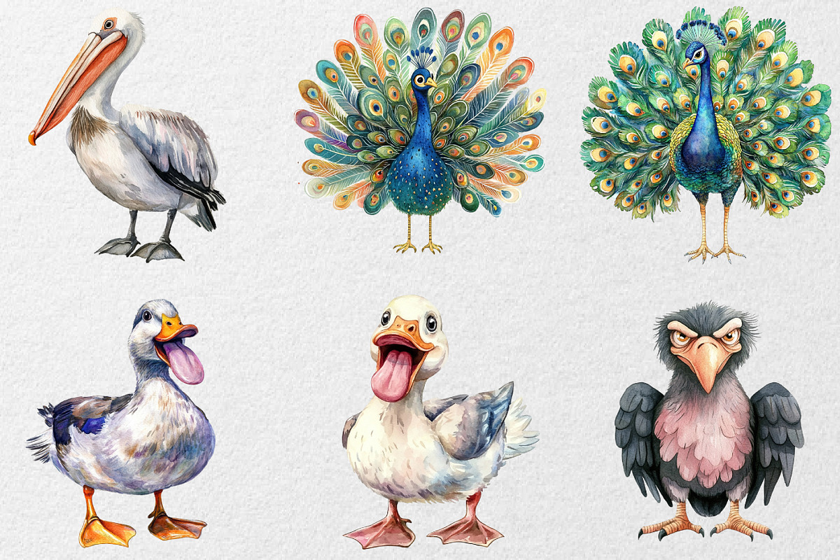 Funny Birds Collection Clipart, an Animal Illustration by DreamCafeArt (Photo 7 of 7)