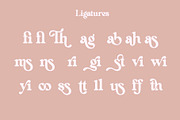 Neastone, a Serif Font by Sealoung (Thumbnail 16 of 18)
