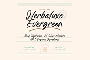 Jasding Blowned Handwritten Brush, a Script Font by Letterena Studios Script (Thumbnail 2 of 20)