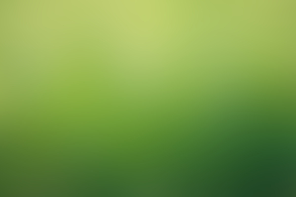 Nature Blurred Backgrounds, a Texture Graphic by Michal Chovanec (Photo 4 of 10)