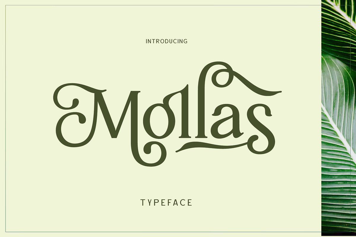 Mollas Typeface, a Serif Font by alit design (Photo 2 of 18)