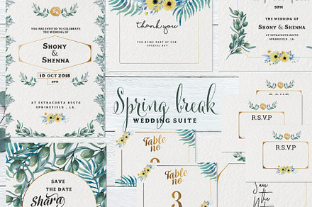 Spring Break Wedding Suite