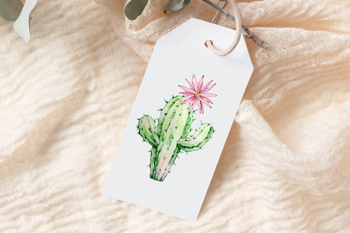 Watercolor Cactus Clipart, an Object Graphic by SvetaArtStore (Photo 4 of 6)