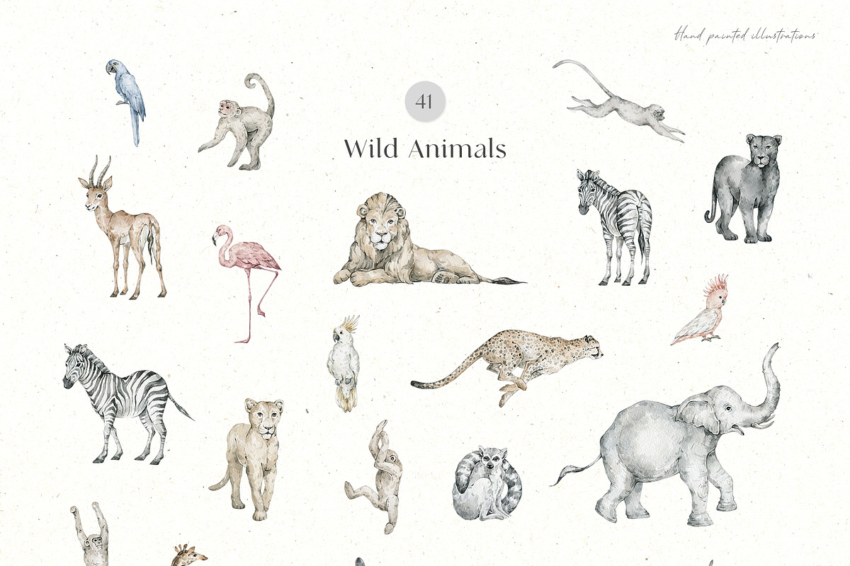Tropical Jungle Watercolor Animals, an Animal Illustration by Kreker Kate (Photo 3 of 14)