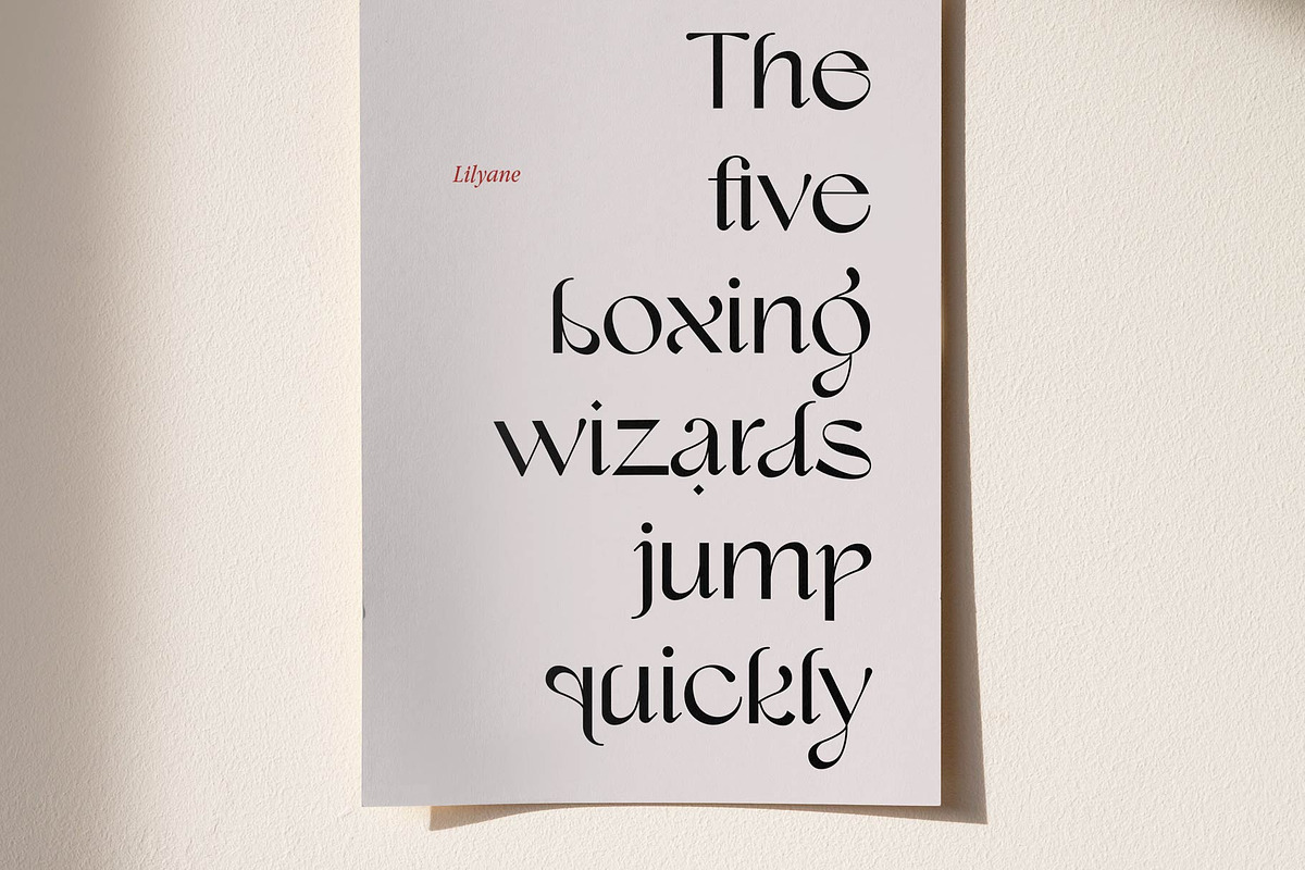 Lilyane - A Lovely Font, a Serif Font by StudioinBry (Photo 7 of 12)