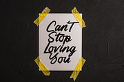 Highlag Theflora Modern Brush Font, a Script Font by Letterena Studios Script (Thumbnail 9 of 15)