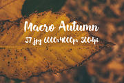 Macro Autumn photo bundle, a Templates & Theme by ApertureVintage (Thumbnail 19 of 21)