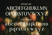 RS Djarum – New Classic Serif Font, a Serif Font by Rahagita Studio (Thumbnail 3 of 12)