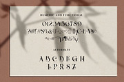 The Darling Beautiful Hybrid Serif, a Serif Font by RantautypeStudio (Thumbnail 18 of 19)