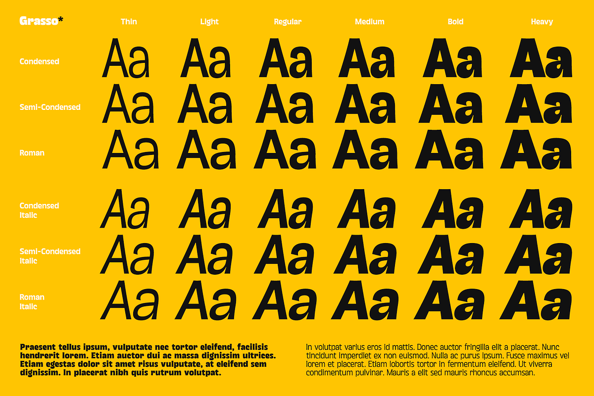 Grasso Variable, a Sans Serif Font by Unio Designs (Photo 4 of 14)