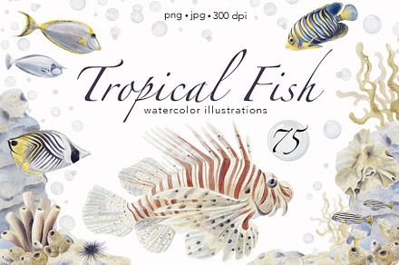 Tropical fish watercolor