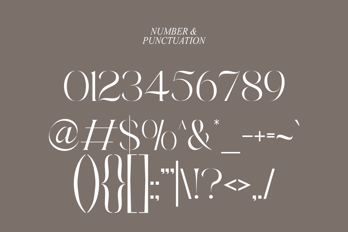 Ambrosia | Modern Serif, a Serif Font by Muntab_Art (Photo 11 of 11)