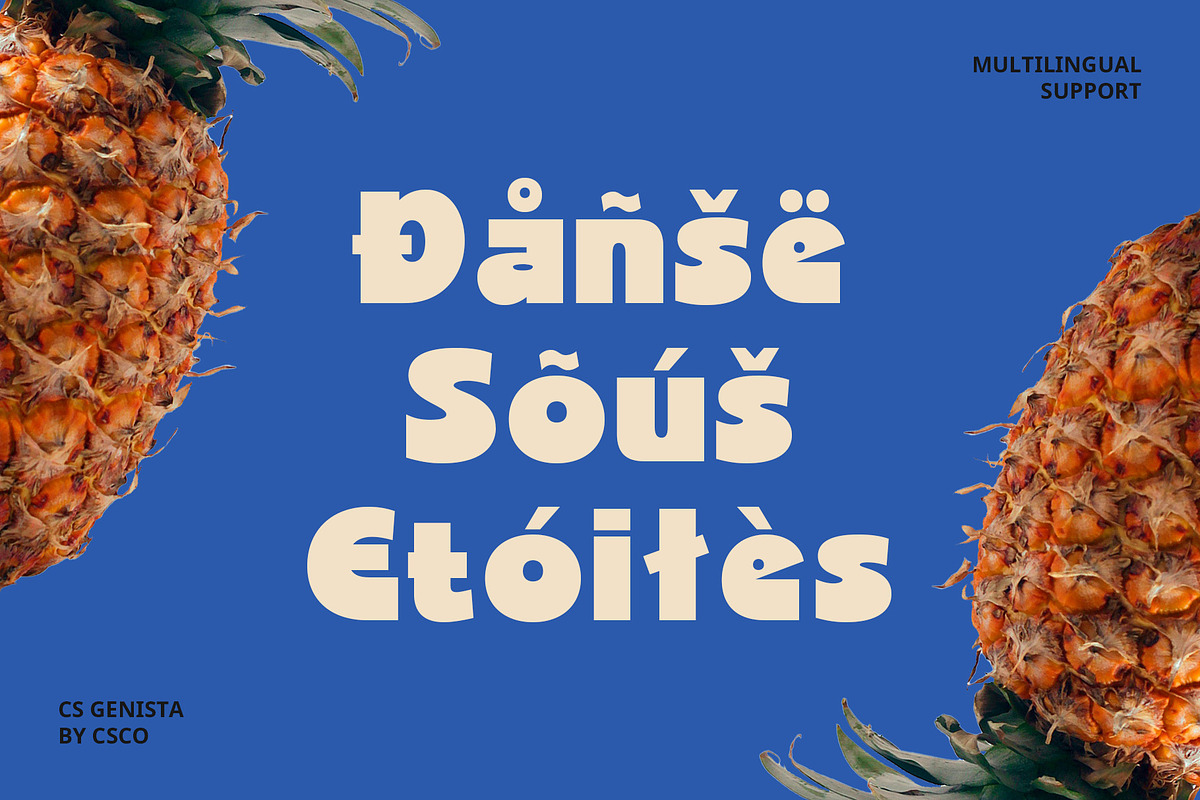 CS Genista – Bold Font, a Sans Serif Font by Craft Supply Co. (Photo 7 of 8)