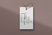 Lionness | Modern Script Font, a Script Font by KA Designs (Thumbnail 17 of 22)