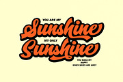 Sandoval, a Script Font by Picatype Studio (Thumbnail 3 of 13)