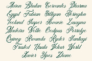 Anatomical - Elegant Script Font, a Script Font by Arendxstudio (Thumbnail 3 of 8)