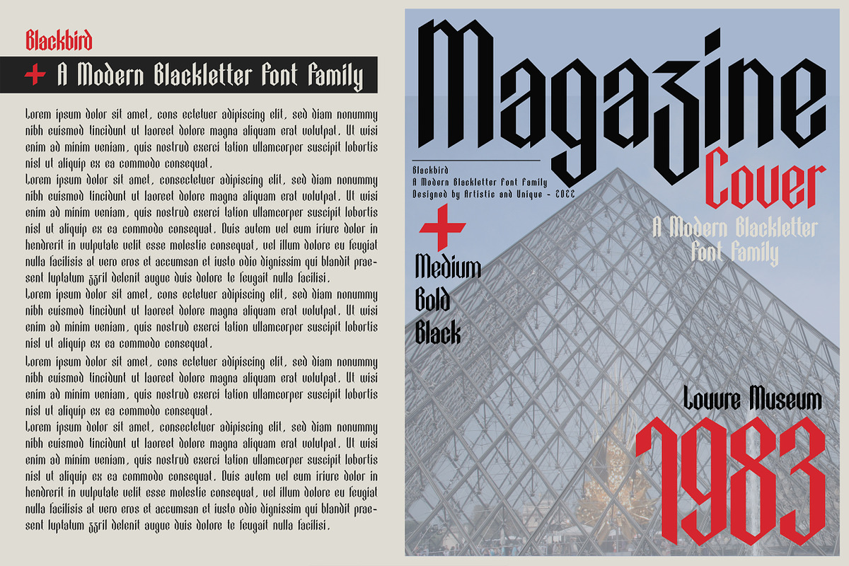 Blackbird - Blackletter font family, a Blackletter Font by Artistic & Unique (Photo 9 of 16)