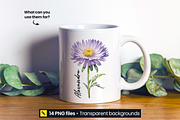 Birth Month Flowers Clipart PNG, a Graphic by DesignWP (Thumbnail 8 of 8)