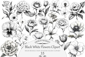 Watercolor Black White Flowers Clipa, an Illustration by Design Market